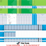 TikTok Accounting Spreadsheet Software