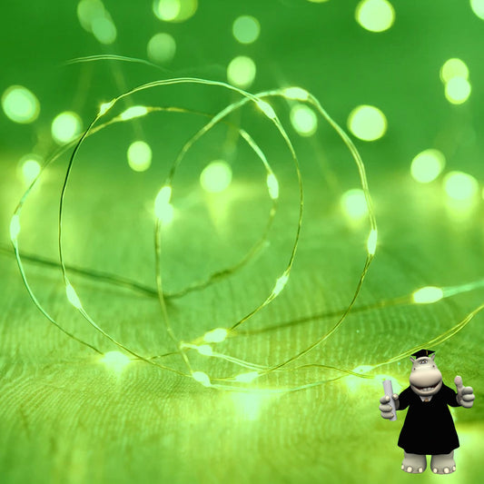 2 METRE GREEN LED WIRE DREAM CATCHER FAIRY LIGHTS BATTERIES INCLUDED