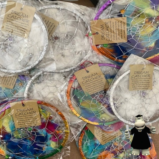 Wholesale 10 x Multicoloured & Silver Dream Catchers