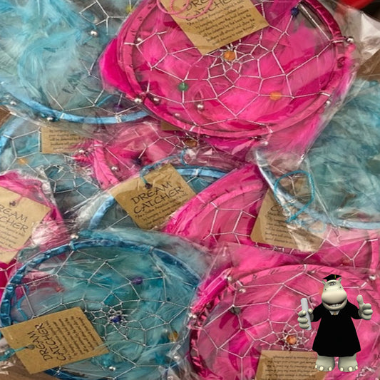 Wholesale 10 x Pink and Turquoise Blue Dream Catchers