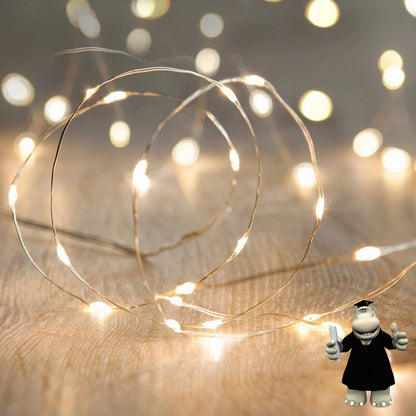 2 METRE RED LED WIRE DREAM CATCHER FAIRY LIGHTS BATTERIES INCLUDED