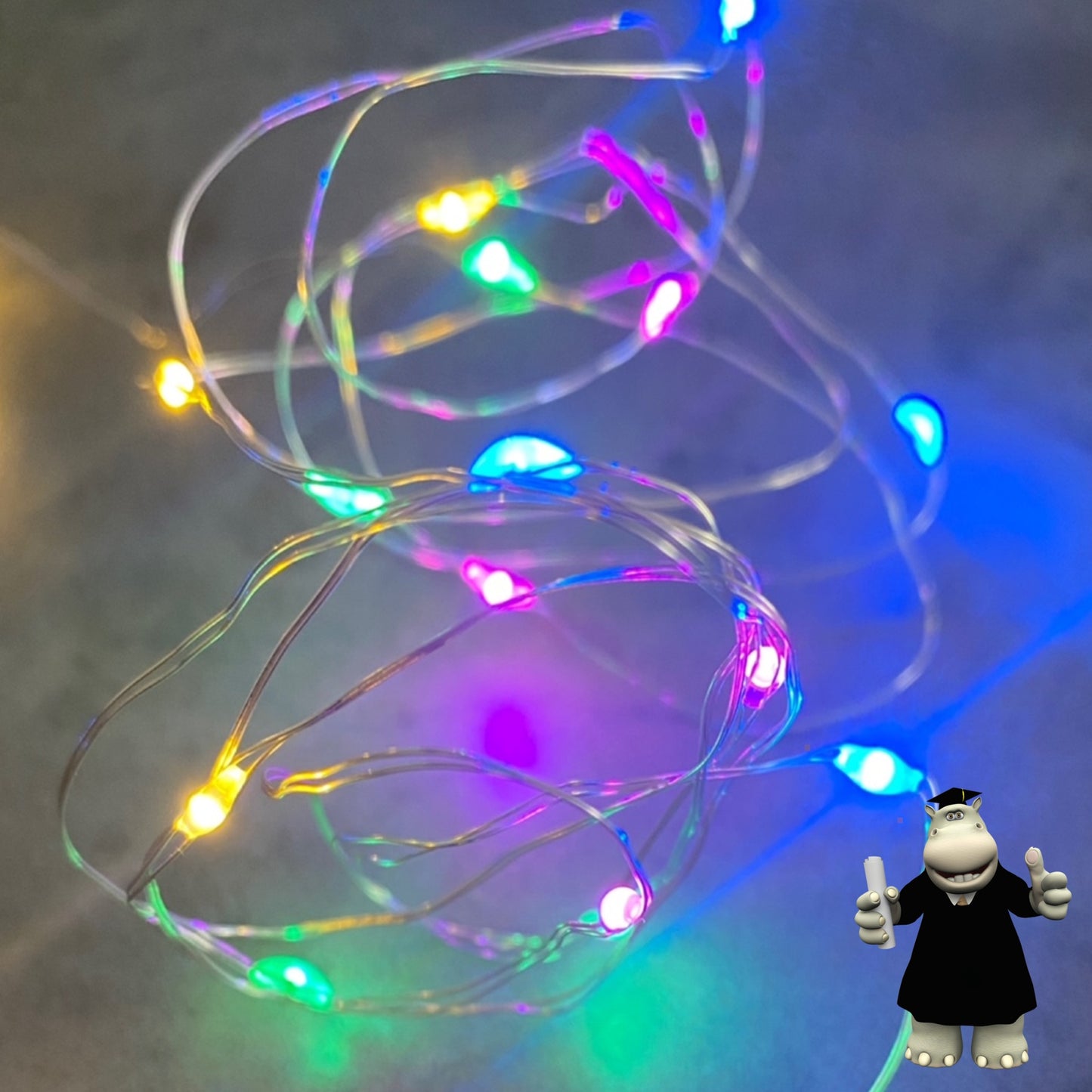 2 METRE RED LED WIRE DREAM CATCHER FAIRY LIGHTS BATTERIES INCLUDED