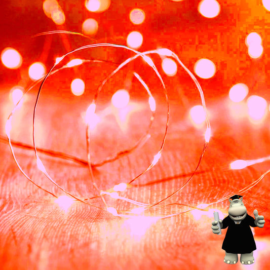 2 METRE RED LED WIRE DREAM CATCHER FAIRY LIGHTS BATTERIES INCLUDED