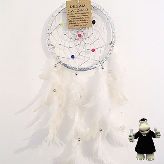 SHINY SILVER SPARKLING DREAM CATCHER