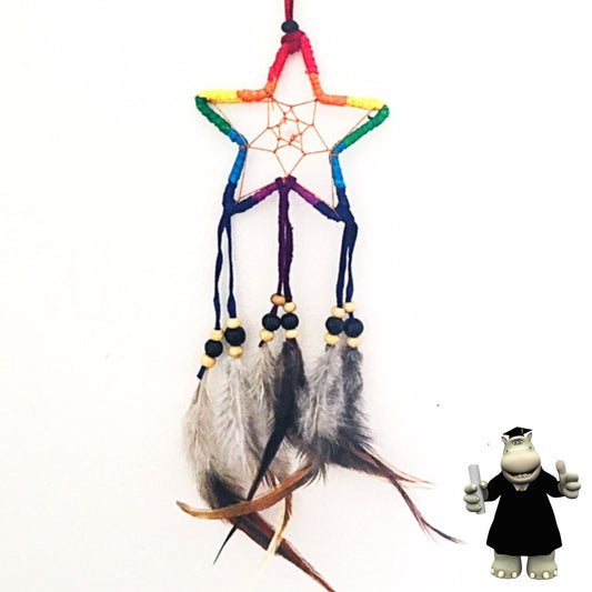 MULTICOLOURED STAR SHAPED DREAM CATCHER - Smart Hippo